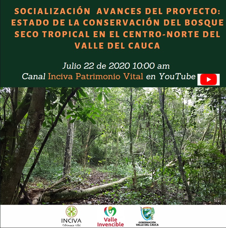 noticias-destacadas/22-de-julio-10-am-socializacion-avances-del-proyecto-bosque-seco-tropical-en-youtube